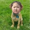 我就闹一下_
