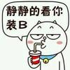 想飞的心