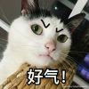 郜林式射门