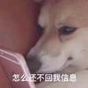 向沙托夫问好_