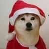 33来迟