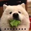 奥杜因之影