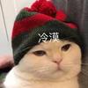 Mess1的小迷弟