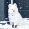 笑忘