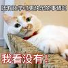 念溪