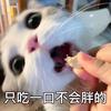 迪纳塔莱DiNatale