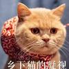 阿森纳夺冠就向zby表白