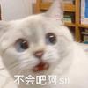 永不老的罗三岁