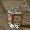 冬猫