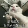 球迷19322634
