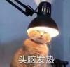 阿咩啊