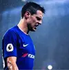 Chelsea-Seven