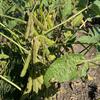 isaac1122
