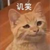 登陆在诺曼底