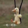 -皓儿鱼-