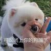 新恒秋子的爸爸