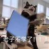 二月zk