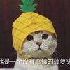 歪比巴卜歪比歪比