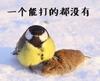 eddiechen0505