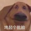 qjqKLOSE