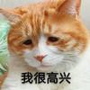 黑椒木鱼
