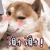 耿世林