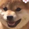 赵明剑亲哥