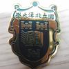 津大董球弟
