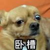 aokoo