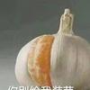 alqin1115