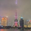 衣冠不南渡