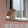 连生阿