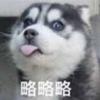 嗨呀丿快活呀