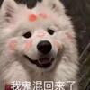 我的月牙