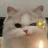 西der