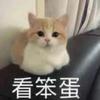 我的中二芒果