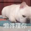 阿布220
