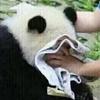 时光里的流浪