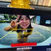 假球裁判员