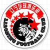 张陇豫