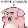 無字情書