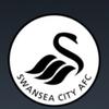 Swansea-City