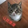 英超改装豪华大巴