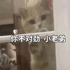 世界第壹APP