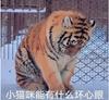 香克斯-_-