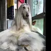 球迷26957685