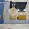Cz薄荷糖