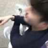 罗毅斯
