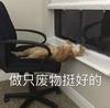 刘丰硕