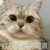 小太行行